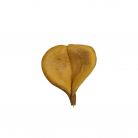 Fava Oxum Tipo 2