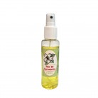 Spray Flor de Laranjeira 100 Ml