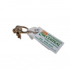 Anel Caveira Dourado Flor Strass