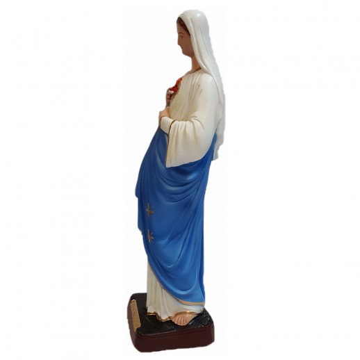 Imagem Coração de Maria 40 Cm Mod1