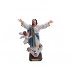 Imagem N Sra Assunção 20 cm Resina Mod5