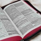 Livro Bíblia e Harpa Pentecostal Edição de Promessas Letra Maior Falas de Jesus em Realce
