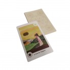 Livro Cartas Astrológicas Holísticas Ed. Pensamento - 52 Cartas