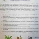 Livro O Guia Completo das Plantas Medicinais