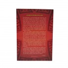 Livro O Oráculo Sagrado dos Búzios Ed. Pensamento - 16 Búzios