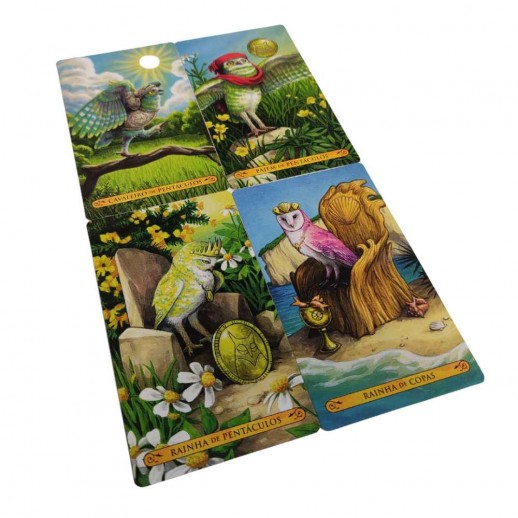 Livro O Tarô das Corujas Ed. Alfabeto - 78 Cartas