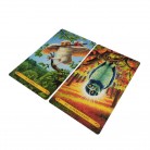 Livro O Tarô das Corujas Ed. Alfabeto - 78 Cartas