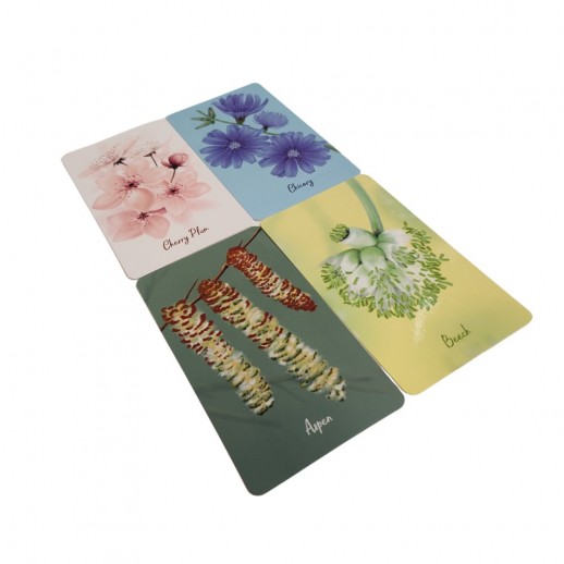Livro Oráculo dos Florais de Bach Resgatando a Luz Interior Ed. Alfabeto - 39 Cartas