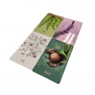 Livro Oráculo dos Florais de Bach Resgatando a Luz Interior Ed. Alfabeto - 39 Cartas