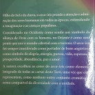 Livro Tarô do Arco-Íris Ed. Isis - 78 Cartas :D