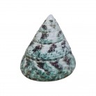 Concha Md Tectus pyramis