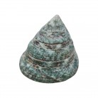 Concha Md Tectus pyramis