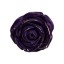 Roxo