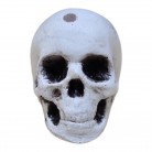 Passagem Caveira 03 Cm Furo Resina Mod1