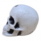 Passagem Caveira 03 Cm Furo Resina Mod1