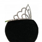 Tiara com Strass Alto Prateada